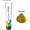 Bleach & Color Crème Yellow 80gr 1 Bleach & Color Crème Yellow 80gr -Salon De Coiffure De Mode Boutique 00615098.600