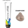 Bleach & Color Crème Champagne 80gr -Salon De Coiffure De Mode Boutique 00715112.600