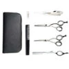 Kit Ciseaux 5,5" Et Rasoirs SET IRON SCHOOL Mashiro -Salon De Coiffure De Mode Boutique 31303336.600